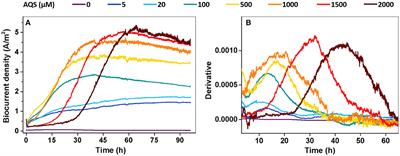 Electron shuttle-dependent biofilm formation and biocurrent generation: Concentration effects and mechanistic insights